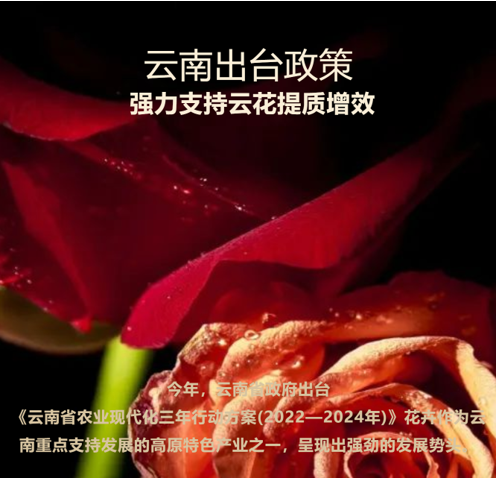 &#21315;&#20159;&#24179;&#21488;&#45;&#21315;&#20159;&#65288;&#20013;&#22269;&#65289;&#19968;&#31449;&#24335;&#26381;&#21153;&#24179;&#21488;